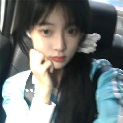 探险活宝第八季